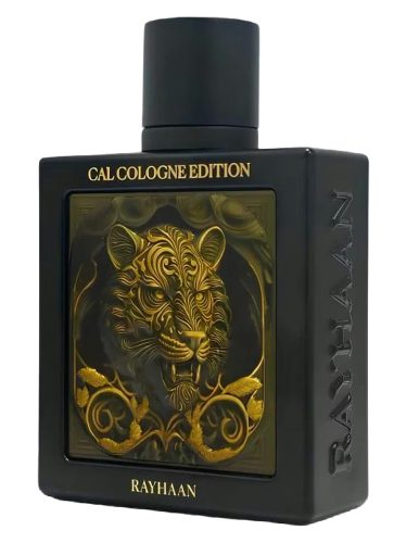 Rayhaan Tiger Eau de Parfum for Men 100 ml